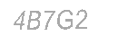 Güvenlik Kodu