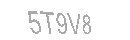 Güvenlik Kodu