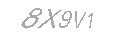 Güvenlik Kodu