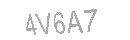 Güvenlik Kodu