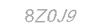 Güvenlik Kodu