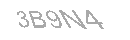 Güvenlik Kodu