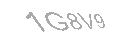 Güvenlik Kodu