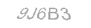 Güvenlik Kodu