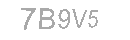 Güvenlik Kodu