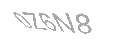 Güvenlik Kodu