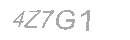 Güvenlik Kodu