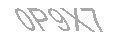 Güvenlik Kodu