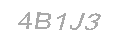 Güvenlik Kodu