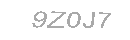 Güvenlik Kodu