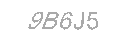 Güvenlik Kodu